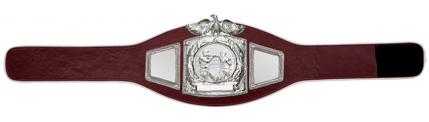 PROEAGLE BOXING CHAMPIONSHIP BELT - PROEAGLE/S/BOXS - AVAILABLE IN 6+ COLOURS